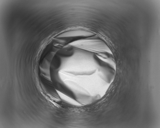 X0000082710193200702161824