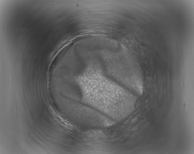 X0000082710194200702161824