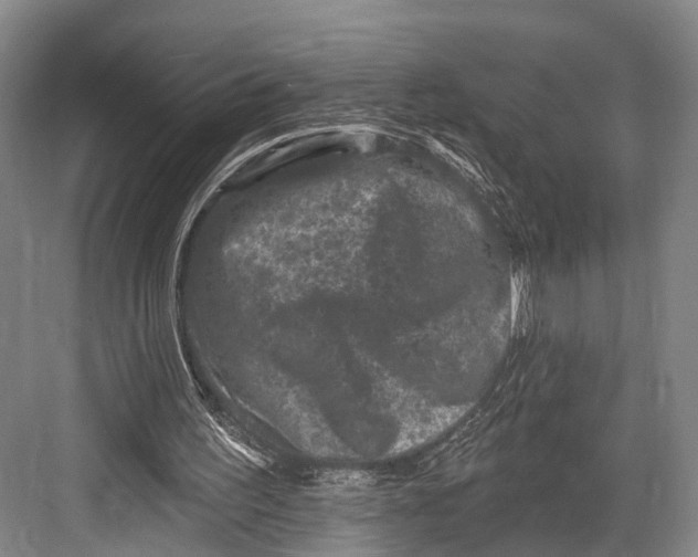 X0000082710195200702161824