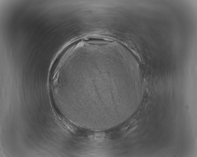 X0000082710196200702161824