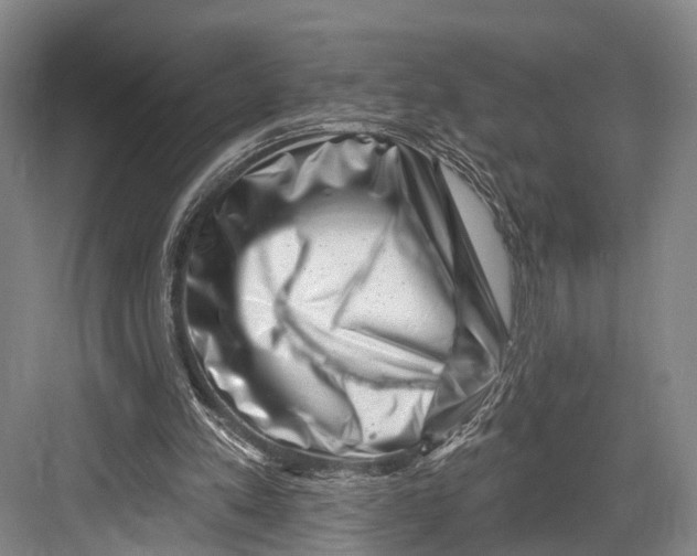 X0000082710197200702161824