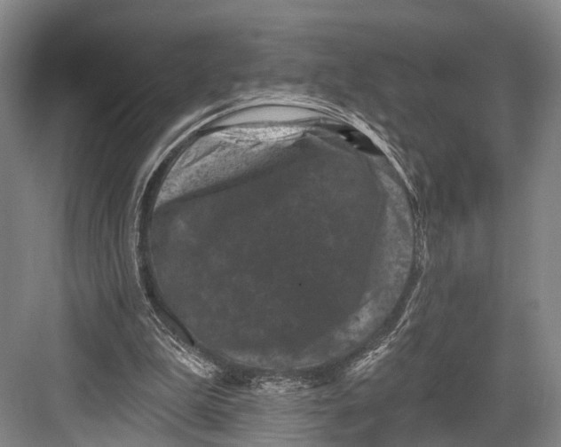 X0000082710199200702161824