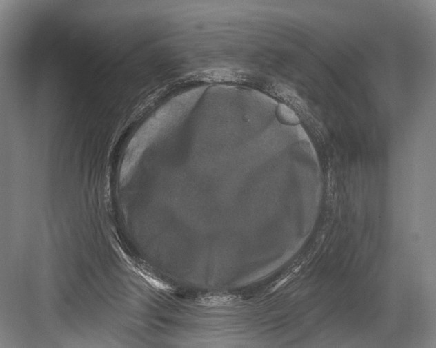 X0000082710202200702161824