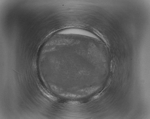 X0000082710203200702161824