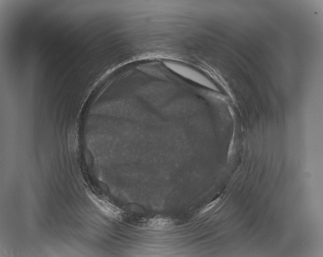 X0000082710204200702161824