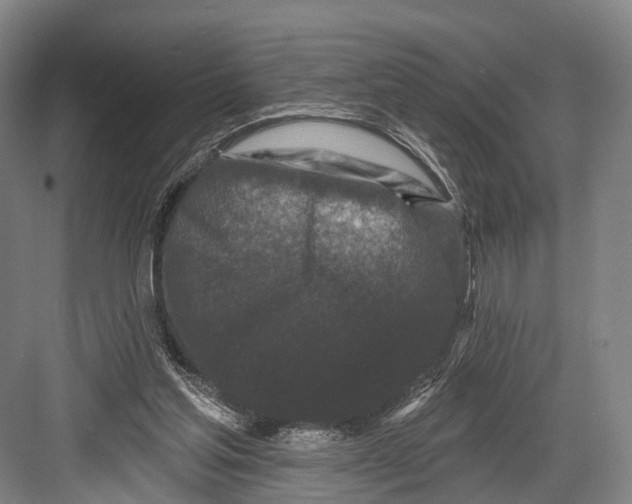 X0000082710205200702161824