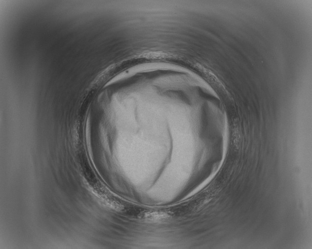 X0000082710208200702161824