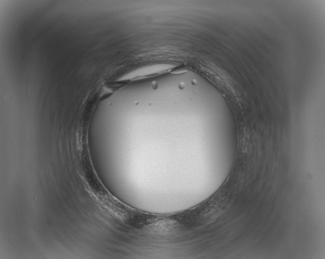 X0000082710210200702161824