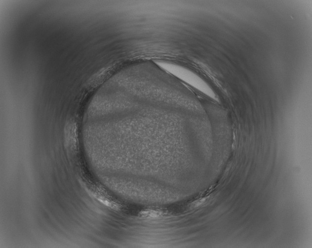 X0000082710211200702161824