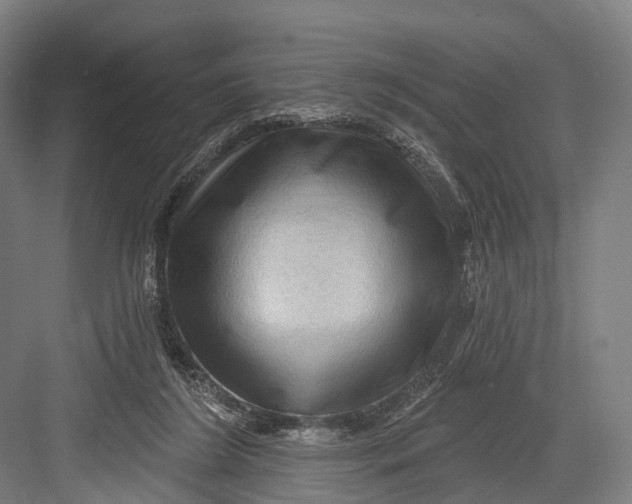 X0000082710212200702161824