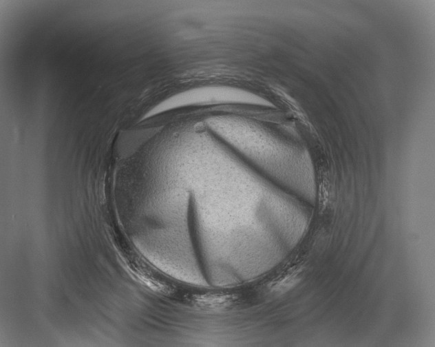 X0000082710213200702161824