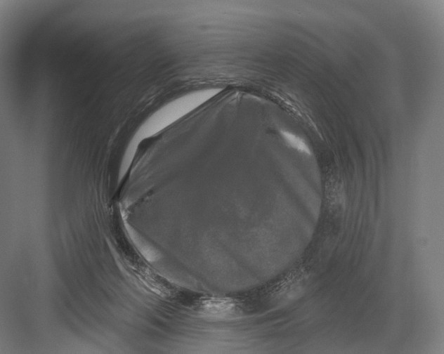 X0000082710214200702161824