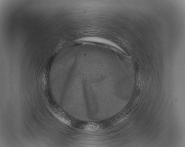 X0000082710215200702161824