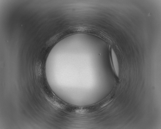 X0000082710216200702161824