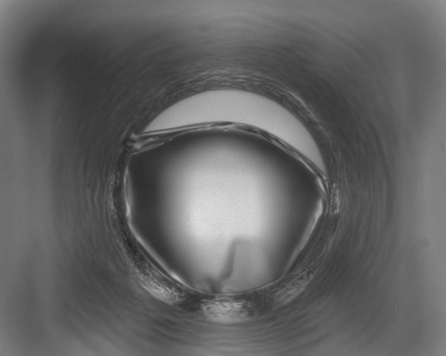 X0000082710217200702161824