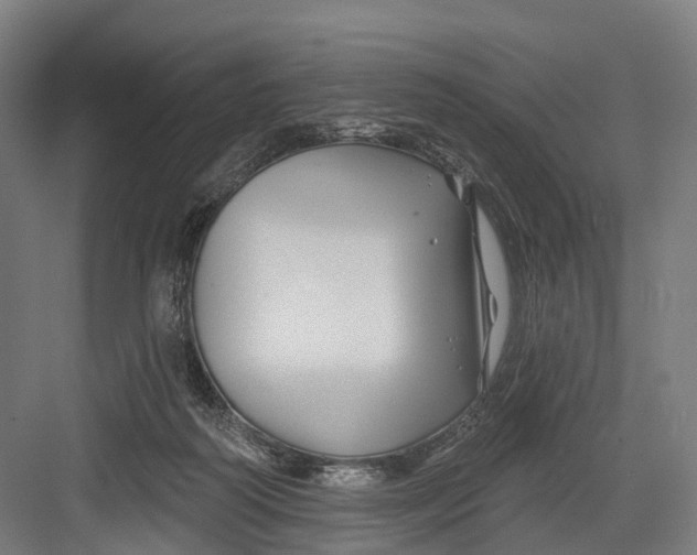 X0000082710218200702161824