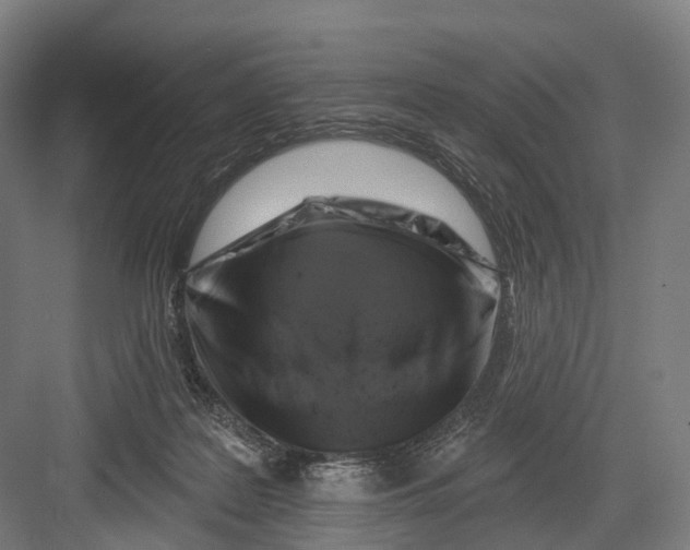 X0000082710219200702161824