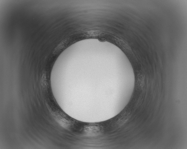 X0000082710220200702161824