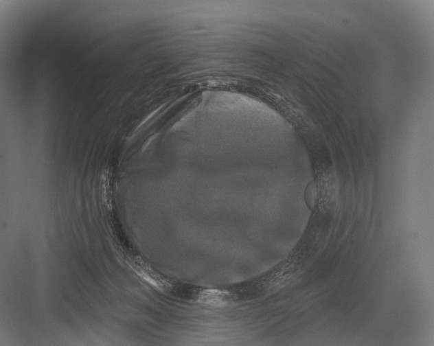 X0000082710222200702161824