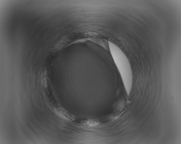 X0000082710223200702161824