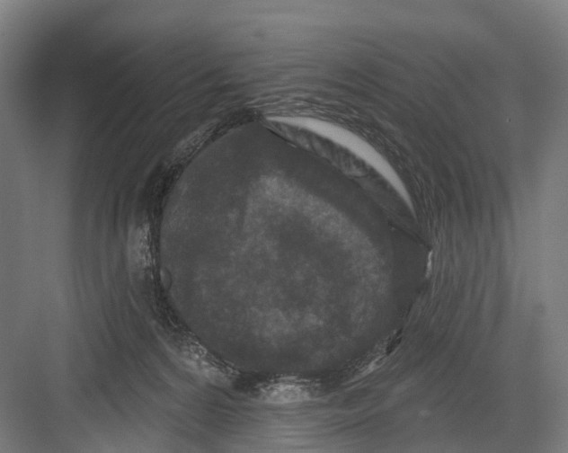 X0000082710224200702161824