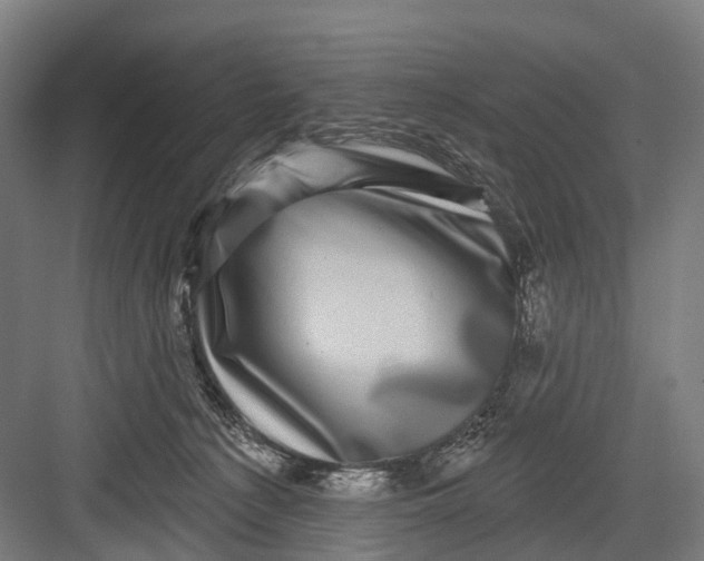 X0000082710225200702161824