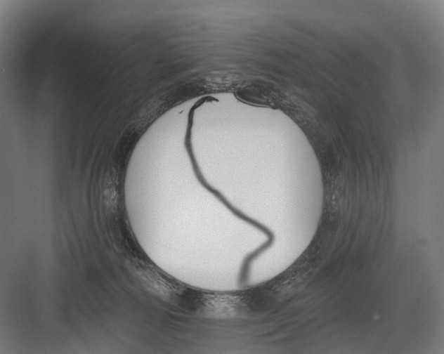 X0000082710226200702161824