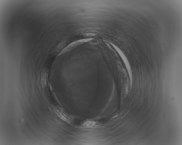 X0000082710227200702161824