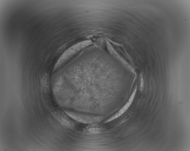 X0000082710228200702161824