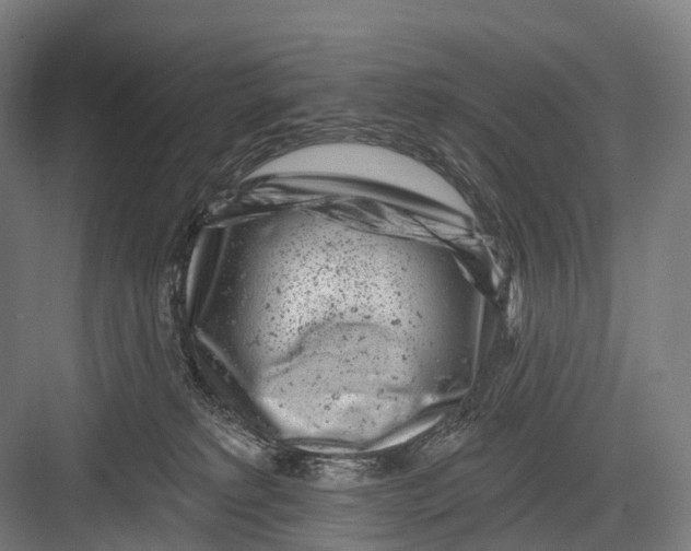 X0000082710229200702161824