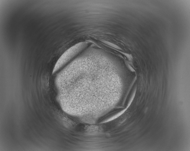 X0000082710230200702161824