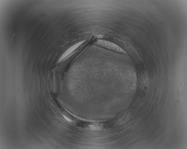 X0000082710232200702161824