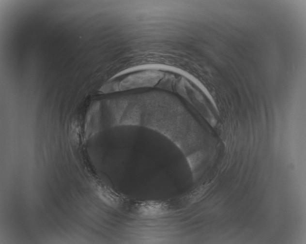 X0000082710235200702161824