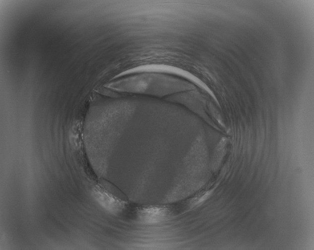 X0000082710237200702161823