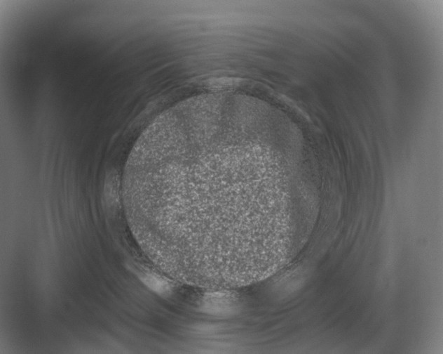 X0000082710240200702161823