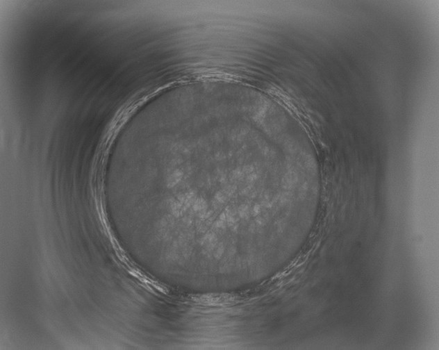 X0000082710241200702161823