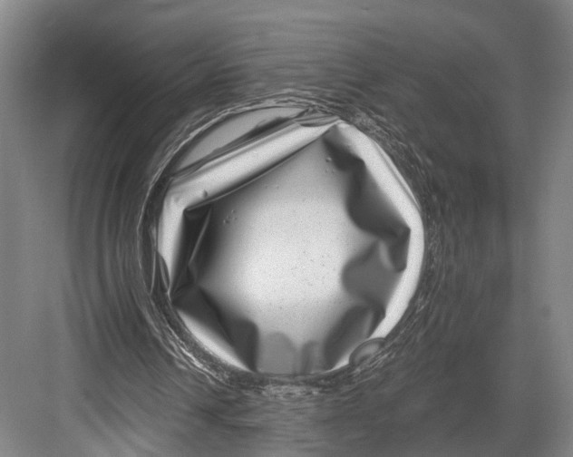 X0000082710242200702161823