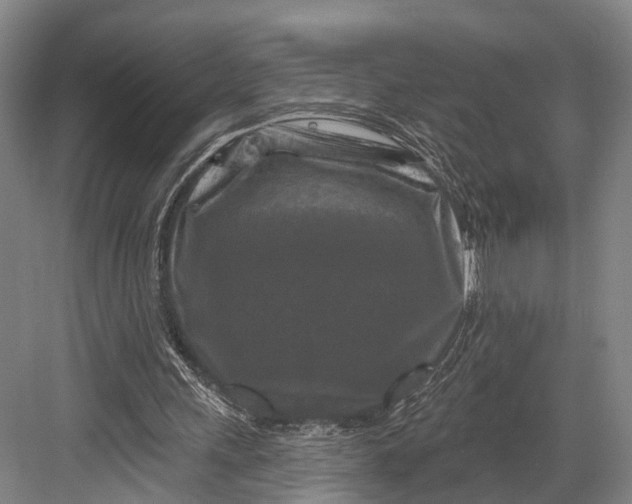 X0000082710243200702161823