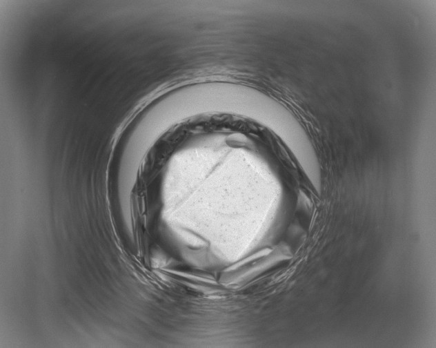 X0000082710244200702161823