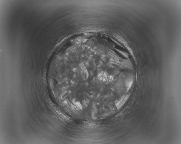 X0000082710249200702161823