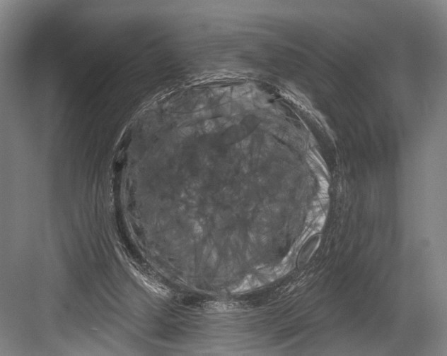 X0000082710250200702161823