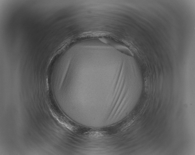 X0000082710254200702161823