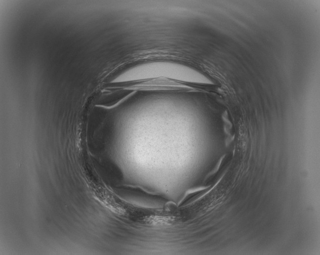 X0000082710255200702161823