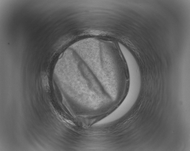 X0000082710256200702161823