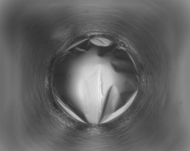 X0000082710259200702161823