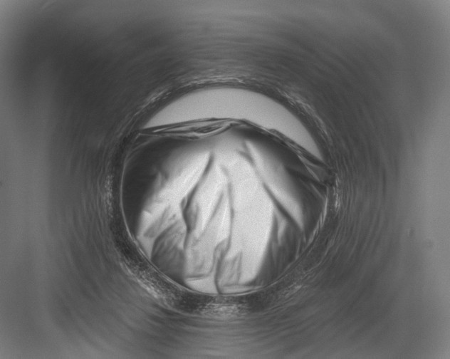 X0000082710260200702161823