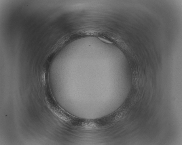 X0000082710262200702161823