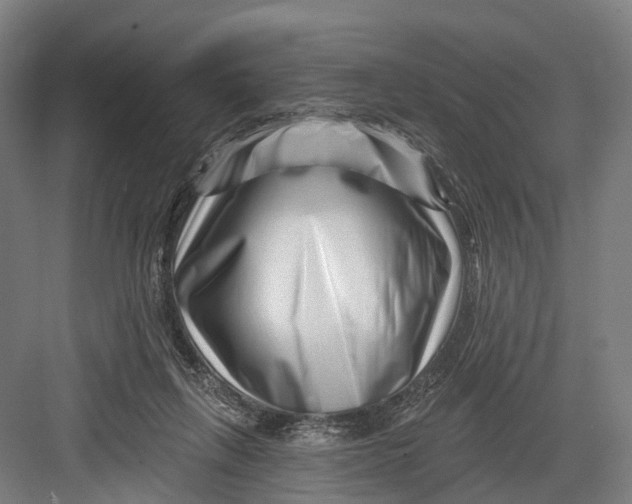 X0000082710263200702161823