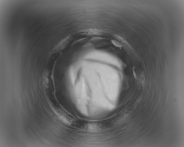 X0000082710264200702161823