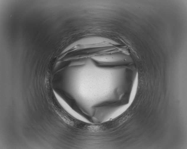 X0000082710265200702161823